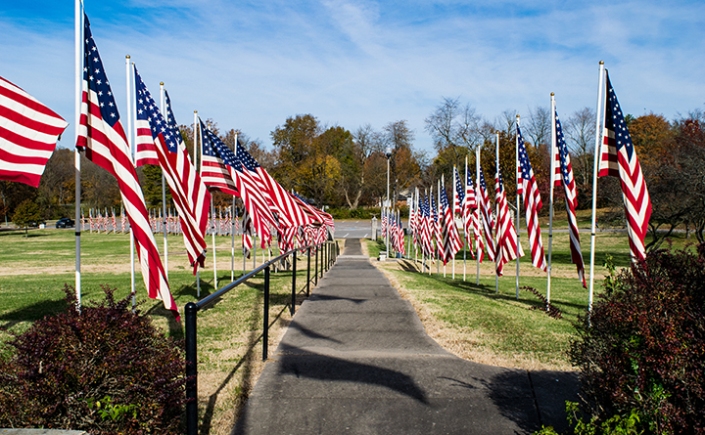 US flags lining a sidewalk